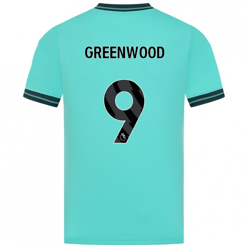 Danxen Heren Jashayde Greenwood #9 Hemelsblauw Groen Uitshirt Uittenue 2025/26 T-Shirt