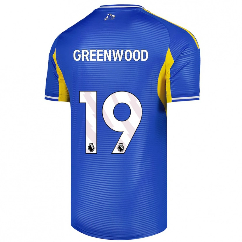Danxen Dames Sam Greenwood #19 Blauw Geel Uitshirt Uittenue 2025/26 T-Shirt