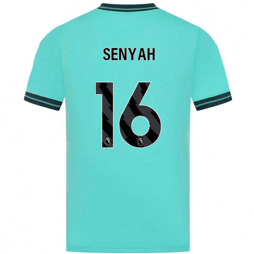 Danxen Dames Kwasi Senyah #16 Hemelsblauw Groen Uitshirt Uittenue 2025/26 T-Shirt