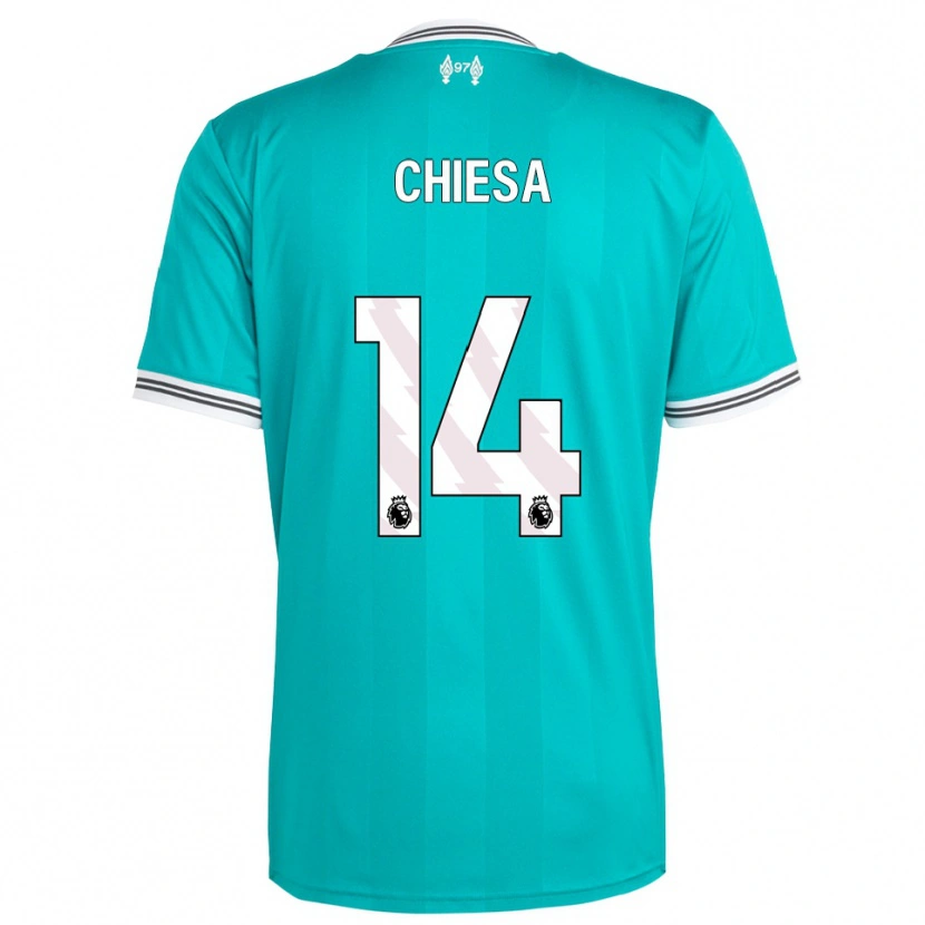 Danxen Dames Federico Chiesa #14 Groen Wit Thuisshirt Derde Tenue 2025/26 T-Shirt