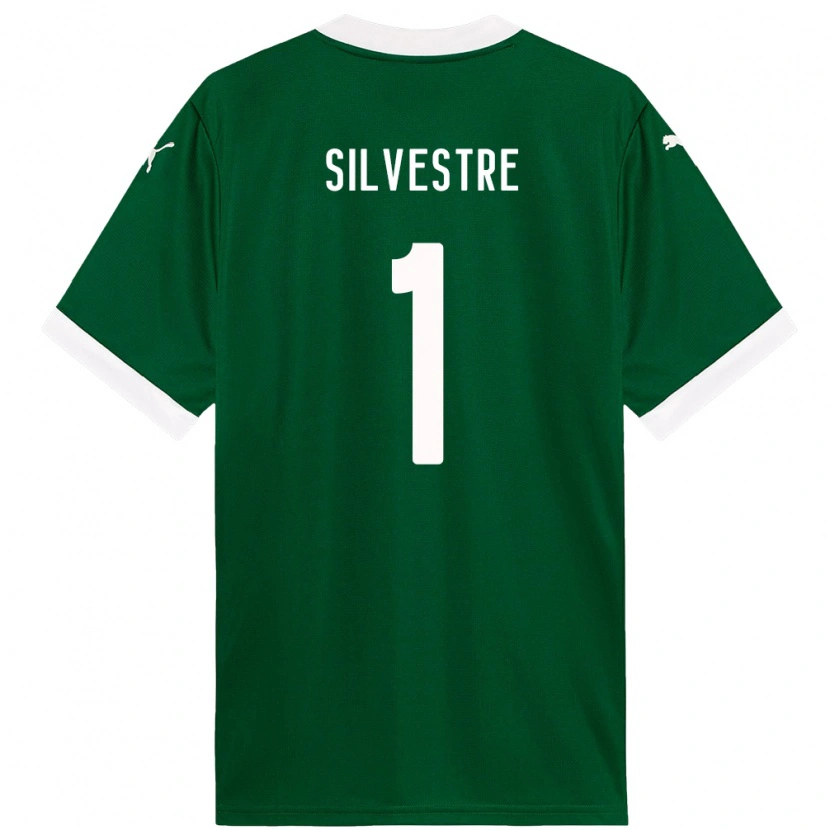 Danxen Heren Vinicius Silvestre #1 Groen Wit Thuisshirt Thuistenue 2025/26 T-Shirt