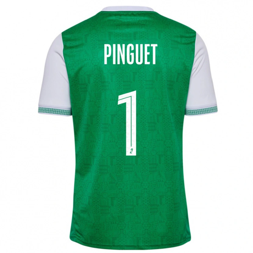 Danxen Kinderen Alice Pinguet #1 Groen Wit Thuisshirt Thuistenue 2025/26 T-Shirt