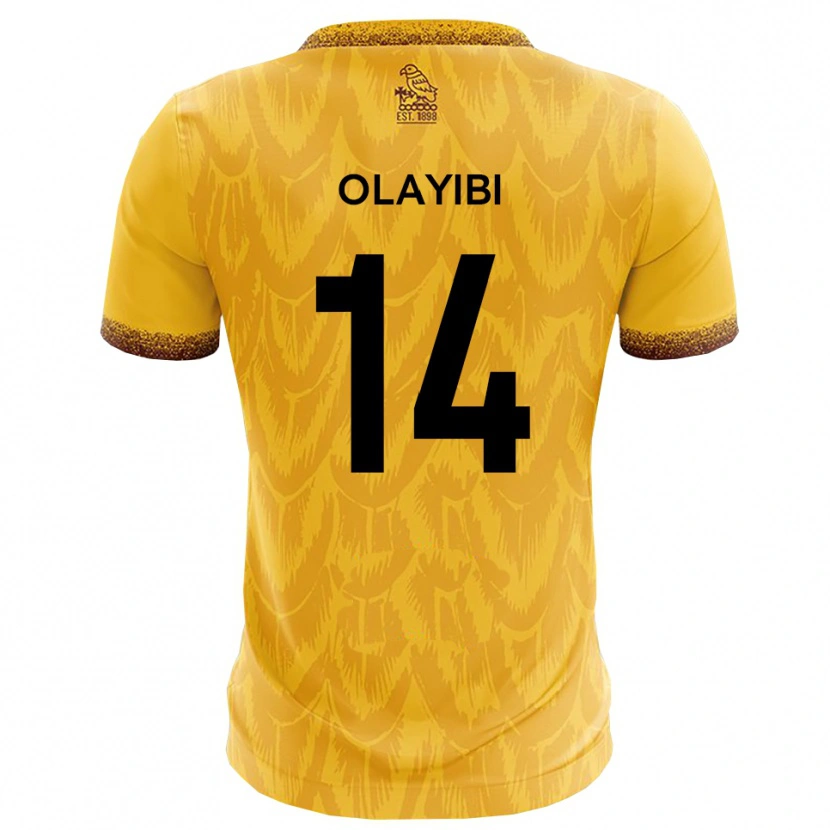 Danxen Dames Daniel Olayibi #14 Geel Bruin Thuisshirt Thuistenue 2025/26 T-Shirt