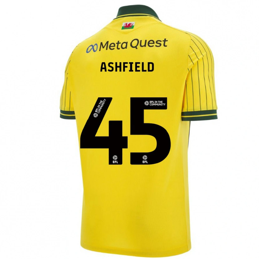 Danxen Dames Harry Ashfield #45 Geel Groen Uitshirt Uittenue 2025/26 T-Shirt