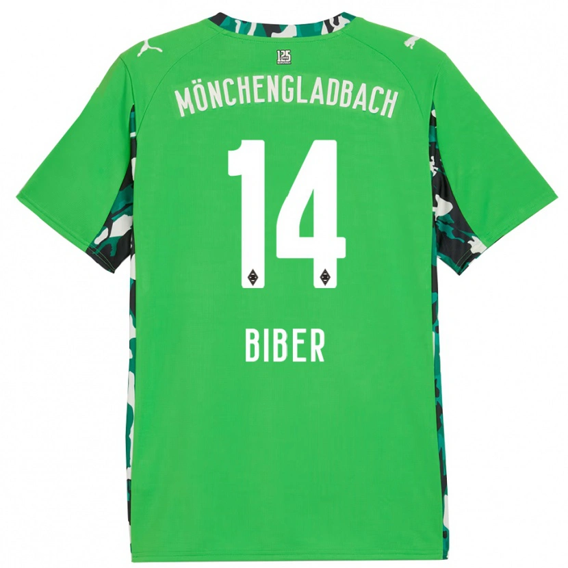 Danxen Kinderen Edin Biber #14 Groen Zwart Uitshirt Uittenue 2025/26 T-Shirt