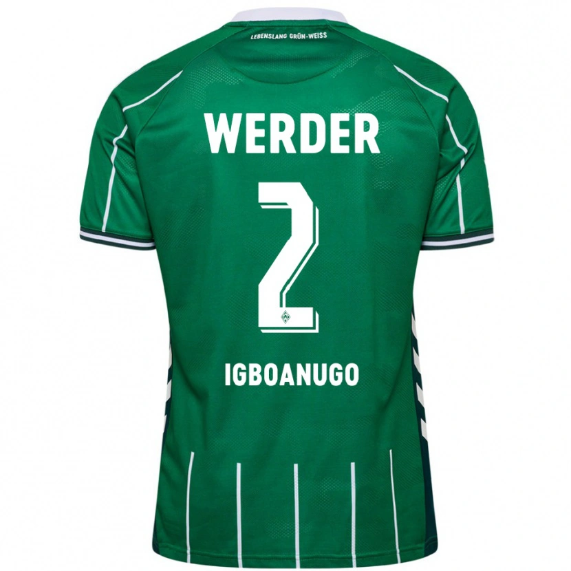 Danxen Heren David Igboanugo #2 Groen Wit Thuisshirt Thuistenue 2025/26 T-Shirt