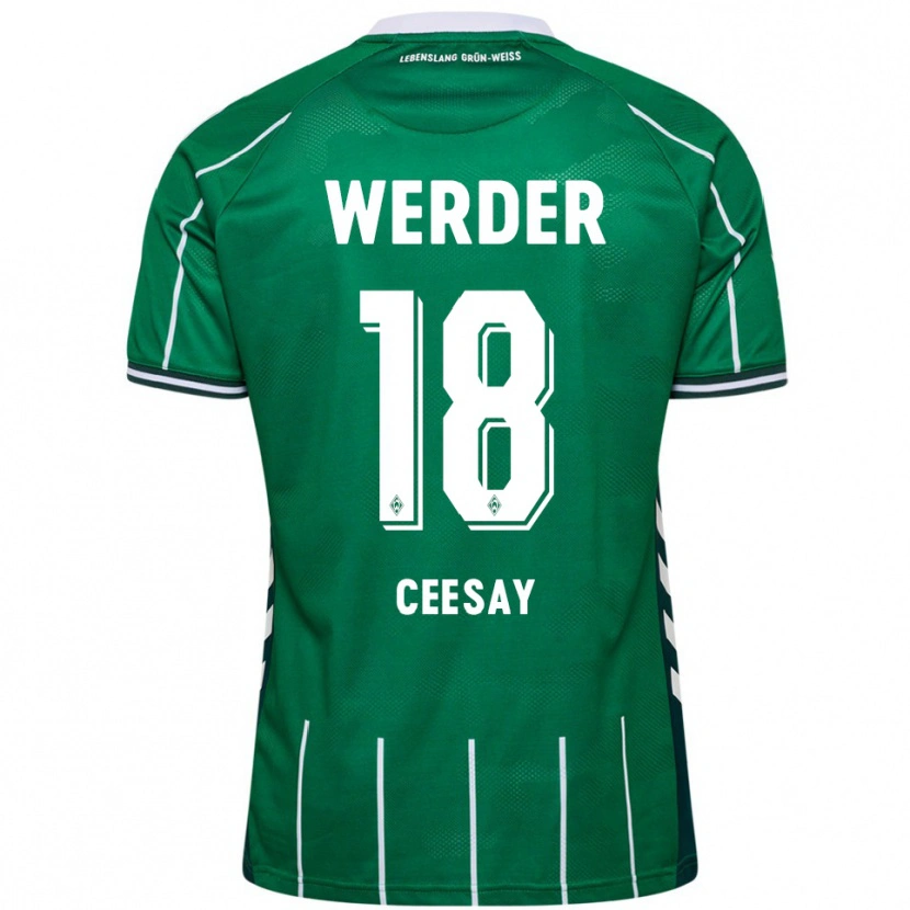 Danxen Dames Ablie Ceesay #18 Groen Wit Thuisshirt Thuistenue 2025/26 T-Shirt