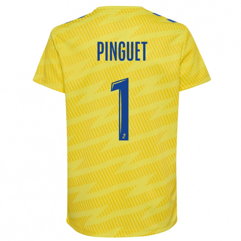 Danxen Heren Alice Pinguet #1 Geel Blauw Keepersshirt 2025/26 T-Shirt