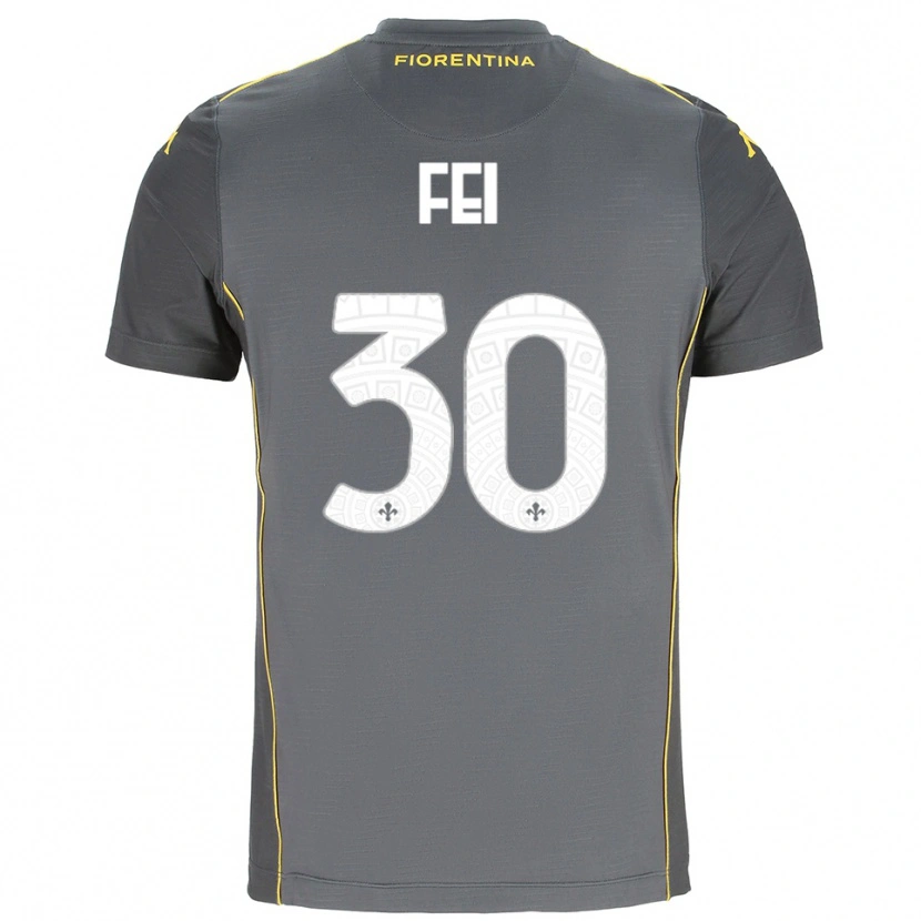 Danxen Heren Gianmaria Fei #30 Donkergrijs Geel Keepersshirt 2025/26 T-Shirt