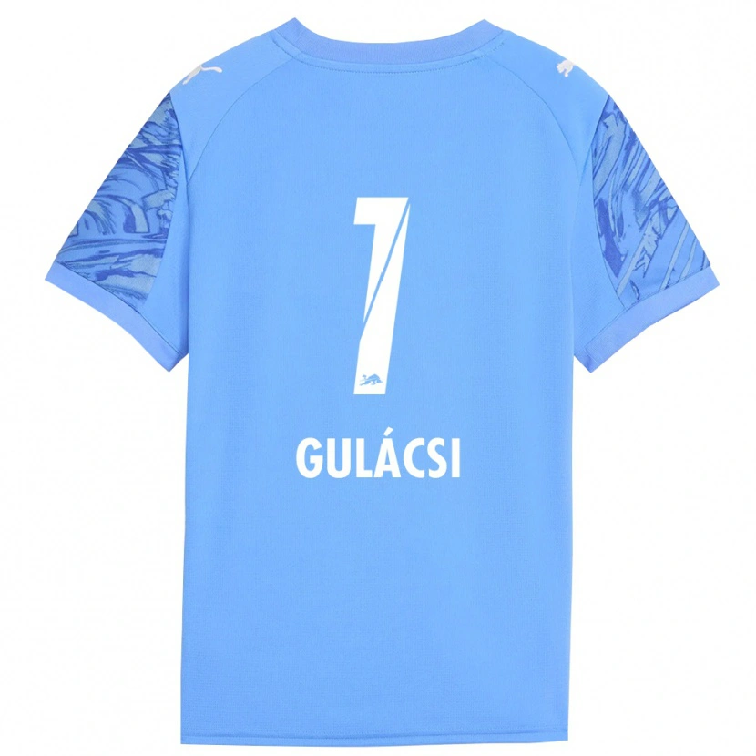 Danxen Heren Péter Gulácsi #1 Koninklijk Blauw Rood Keepersshirt 2025/26 T-Shirt
