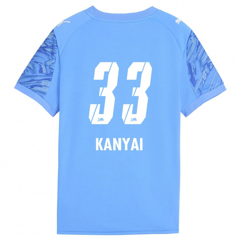 Danxen Heren János Kányai #33 Koninklijk Blauw Rood Keepersshirt 2025/26 T-Shirt