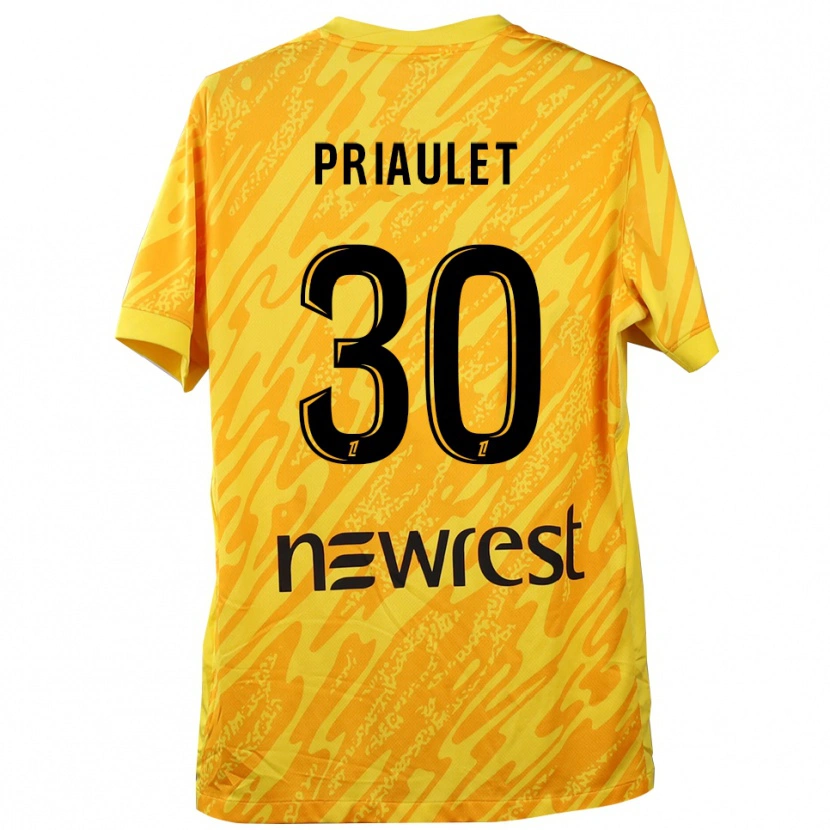 Danxen Dames Anaïs Priaulet #30 Geel Zwart Keepersshirt 2025/26 T-Shirt