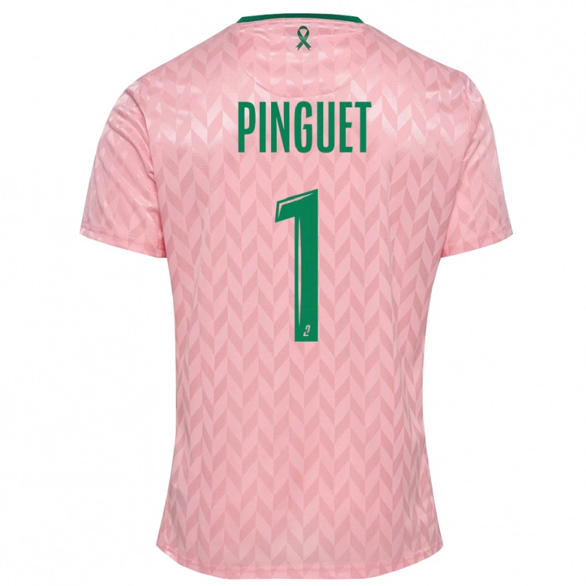 Danxen Dames Alice Pinguet #1 Roze Groen Keepersshirt 2025/26 T-Shirt