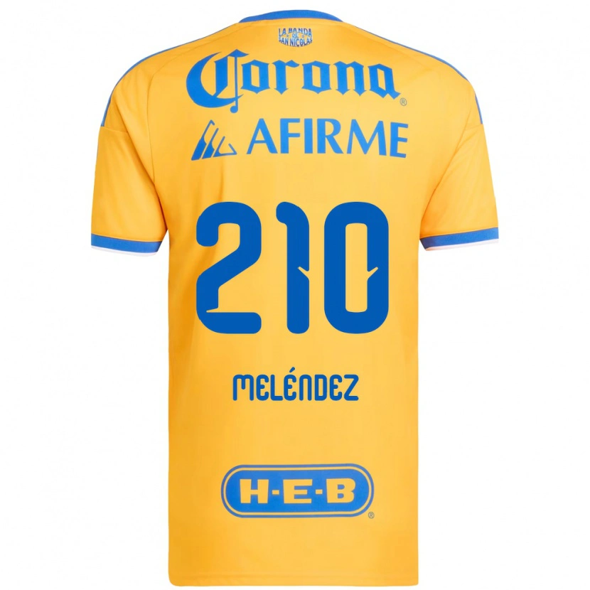 Danxen Kinderen Marcelo Meléndez #210 Geel Blauw Thuisshirt Thuistenue 2026/27 T-Shirt