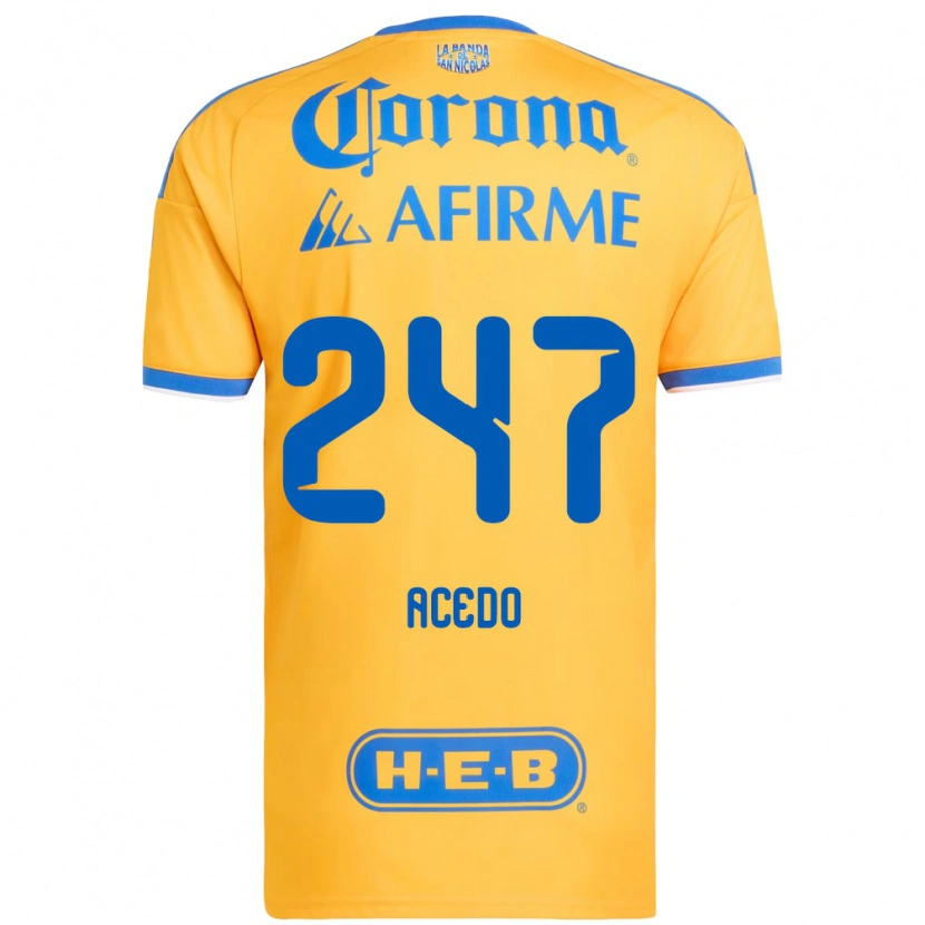 Danxen Heren Kevin Acedo #247 Geel Blauw Thuisshirt Thuistenue 2026/27 T-Shirt