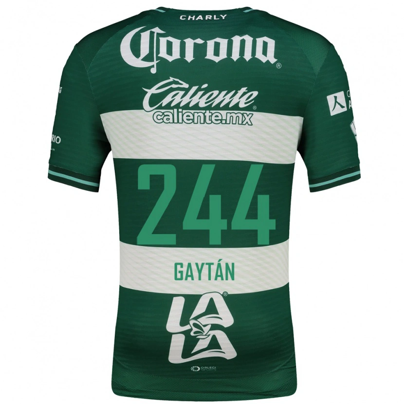 Danxen Heren Axel Gaytán #244 Groen Wit Thuisshirt Thuistenue 2026/27 T-Shirt