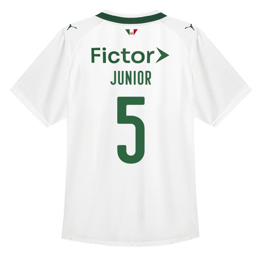 Danxen Heren Amilton Junior #5 Groen Wit Uitshirt Uittenue 2026/27 T-Shirt