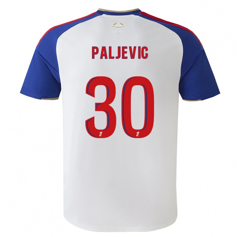 Danxen Heren Alyssia Paljevic #30 Royalblue Rood Wit Thuisshirt Thuistenue 2026/27 T-Shirt