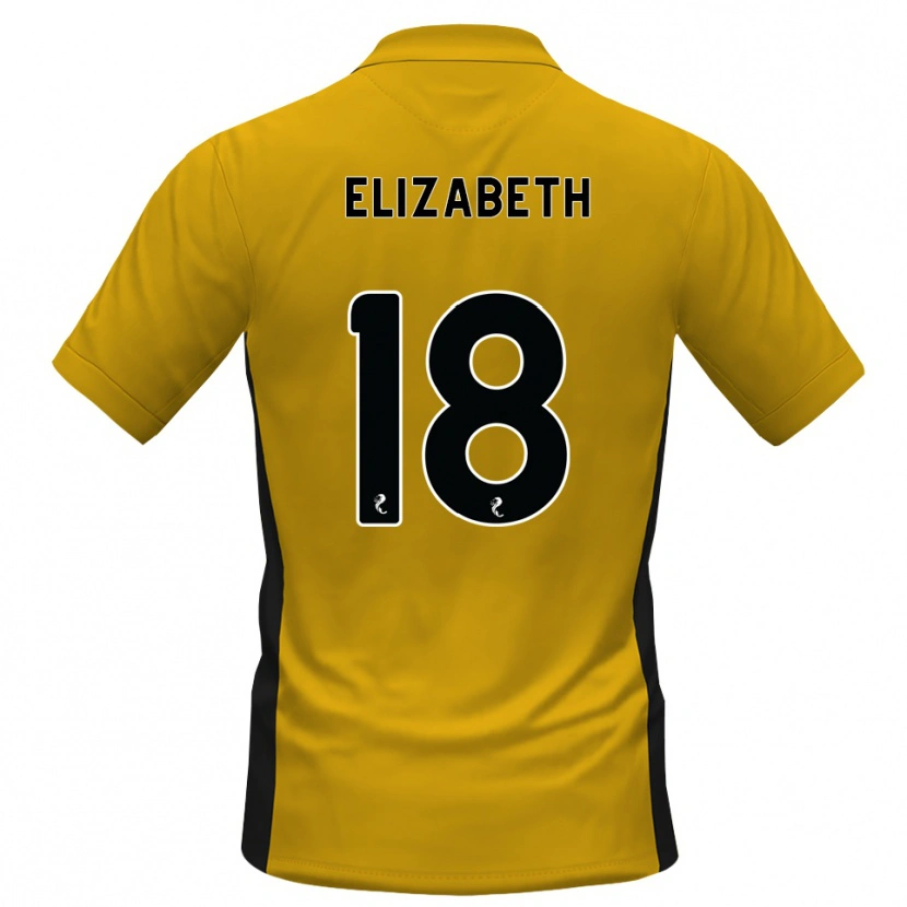Danxen Dames Ashley Elizabeth #18 Oranje Zwart Thuisshirt Thuistenue 2026/27 T-Shirt
