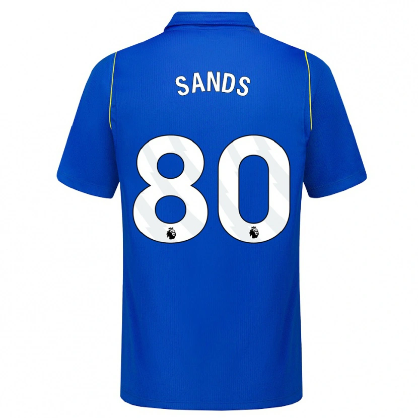 Danxen Heren Hudson Sands #80 Blauw Geel Thuisshirt Thuistenue 2026/27 T-Shirt