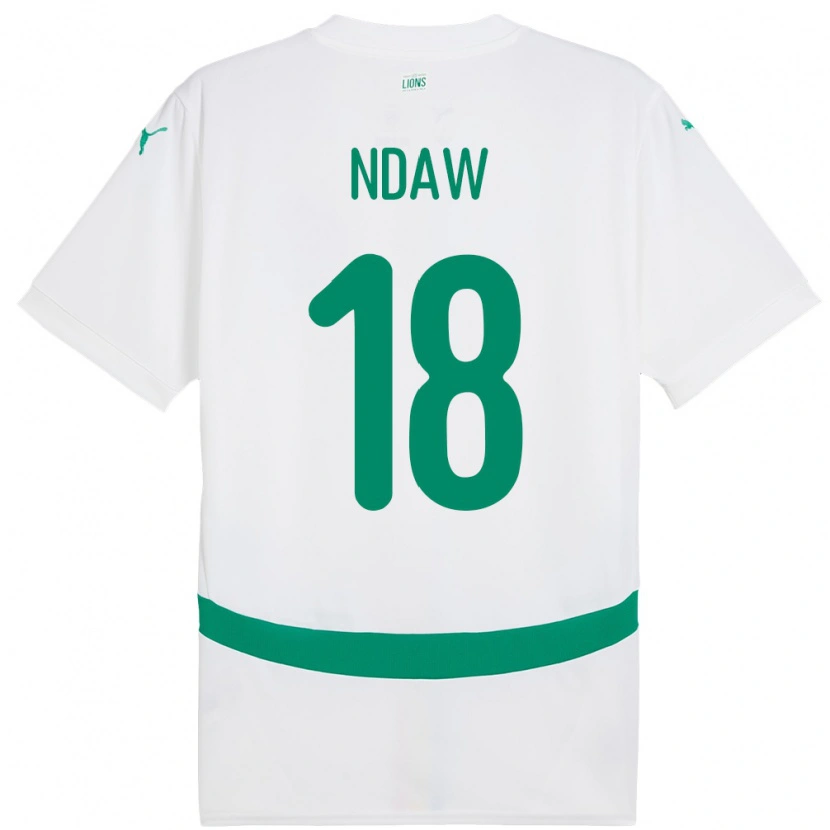 Danxen Kinderen Senegal Faly Ndaw #18 Wit Thuisshirt Thuistenue 24-26 T-Shirt