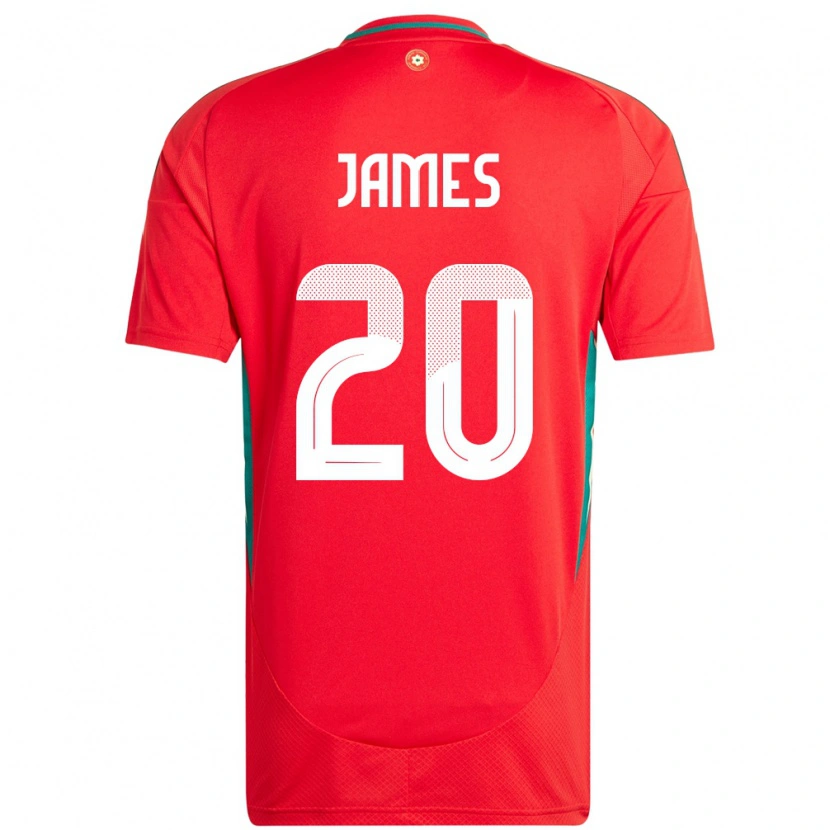 Danxen Kinderen Wales Daniel James #20 Rood Thuisshirt Thuistenue 24-26 T-Shirt