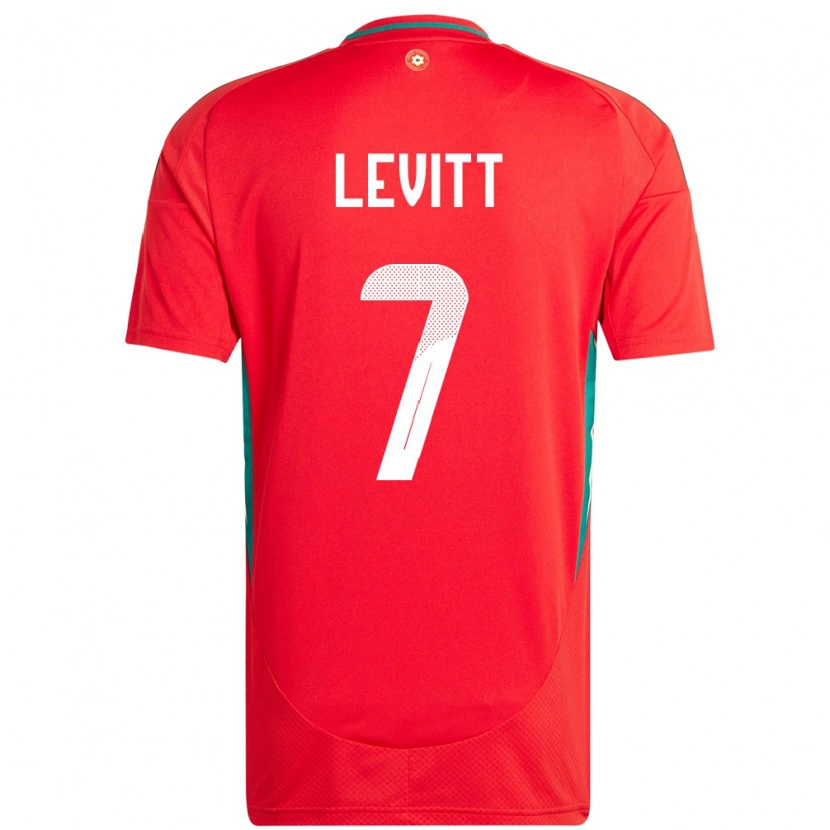 Danxen Kinderen Wales Dylan Levitt #7 Rood Thuisshirt Thuistenue 24-26 T-Shirt