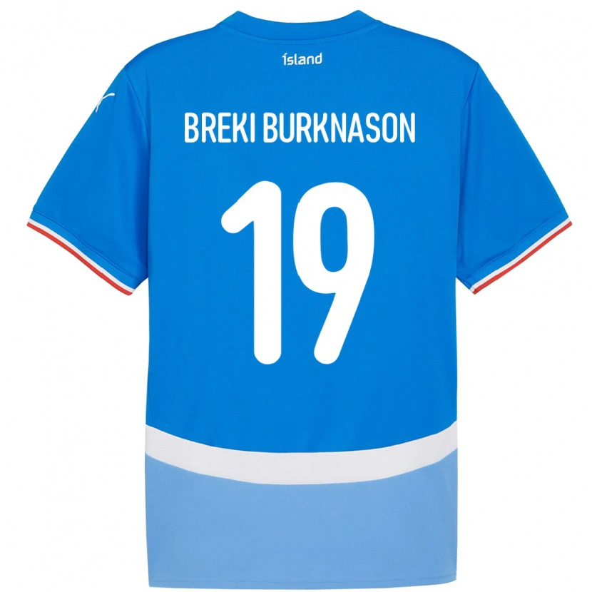Danxen Kinderen Ijsland Birnir Breki Burknason #19 Blauw Thuisshirt Thuistenue 24-26 T-Shirt