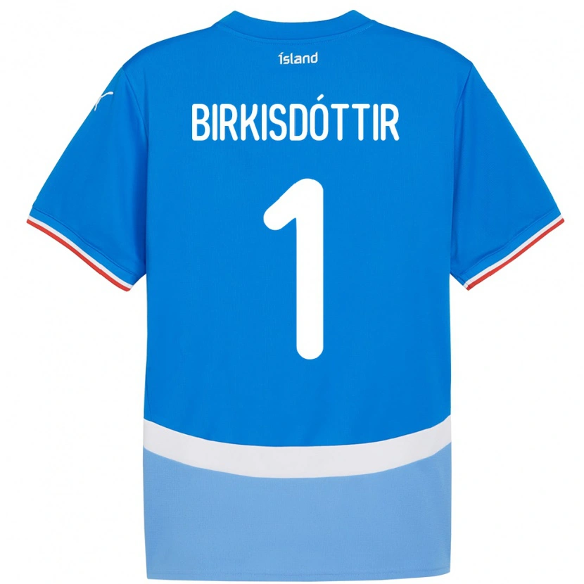 Danxen Kinderen Ijsland Fanney Inga Birkisdóttir #1 Blauw Thuisshirt Thuistenue 24-26 T-Shirt