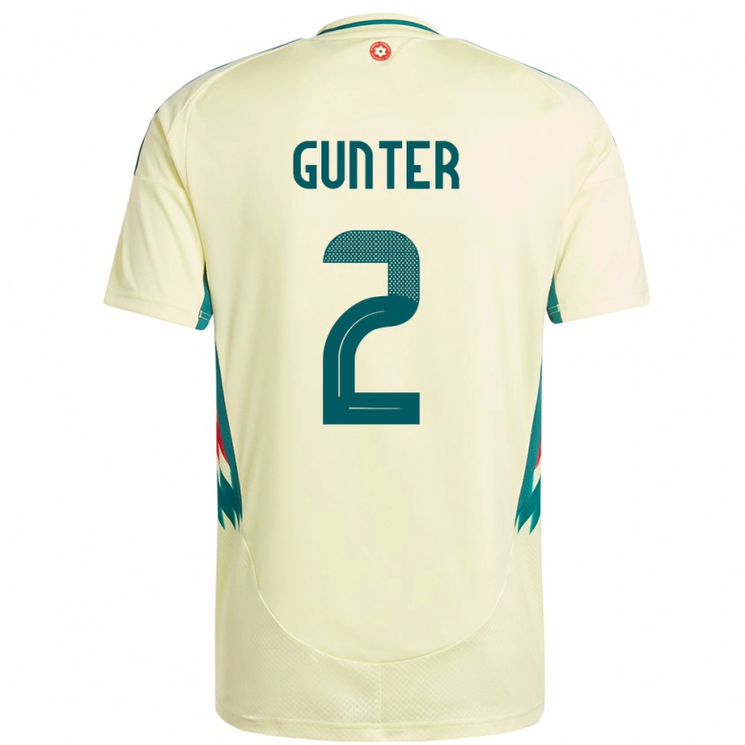 Danxen Kinderen Wales Chris Gunter #2 Beige Geel Uitshirt Uittenue 24-26 T-Shirt
