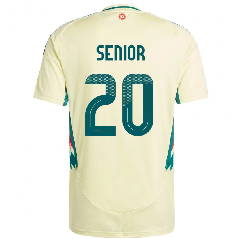 Danxen Kinderen Wales Matt Senior #20 Beige Geel Uitshirt Uittenue 24-26 T-Shirt