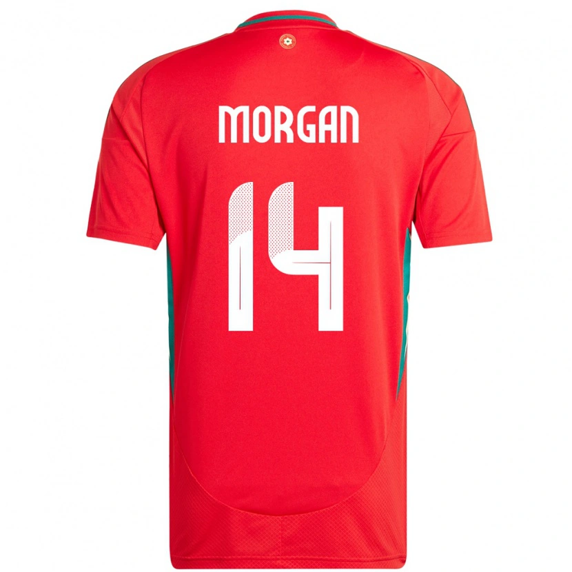 Danxen Heren Wales George Morgan #14 Rood Thuisshirt Thuistenue 24-26 T-Shirt