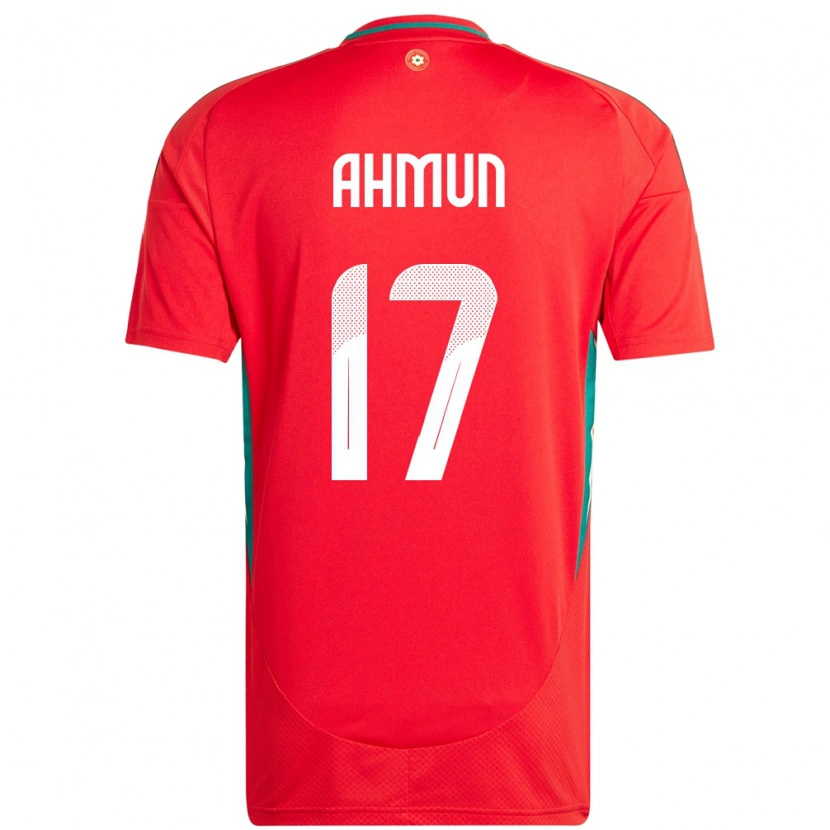 Danxen Heren Wales Ben Ahmun #17 Rood Thuisshirt Thuistenue 24-26 T-Shirt
