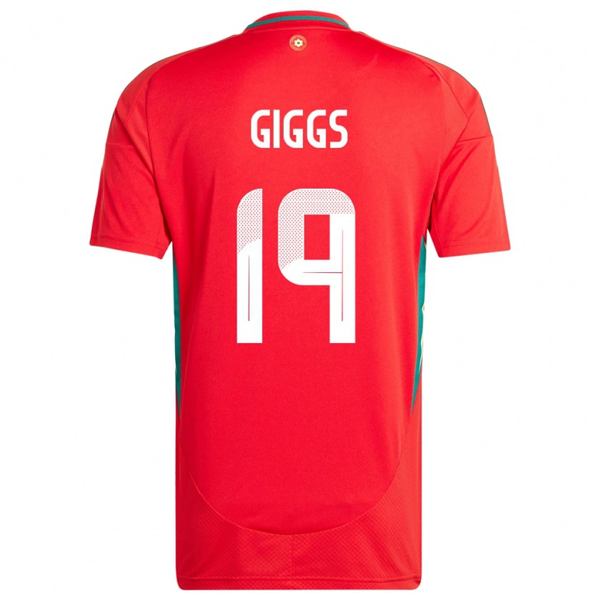 Danxen Heren Wales Zach Giggs #19 Rood Thuisshirt Thuistenue 24-26 T-Shirt