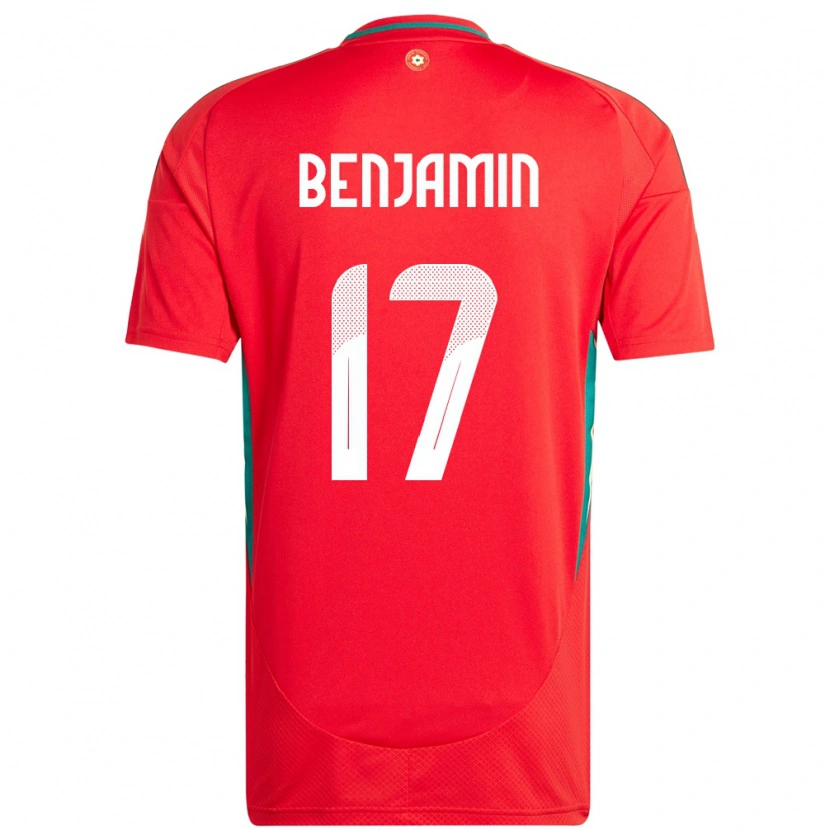 Danxen Heren Wales Omari Benjamin #17 Rood Thuisshirt Thuistenue 24-26 T-Shirt