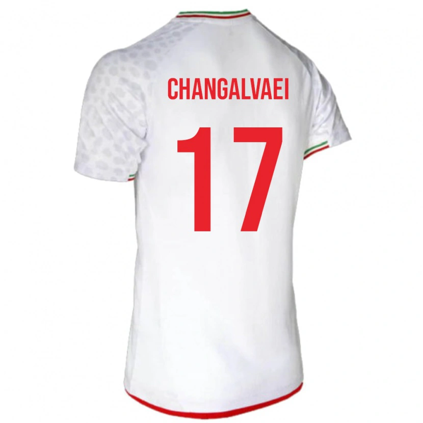 Danxen Heren Iran Amirreza Changalvaei #17 Wit Thuisshirt Thuistenue 24-26 T-Shirt
