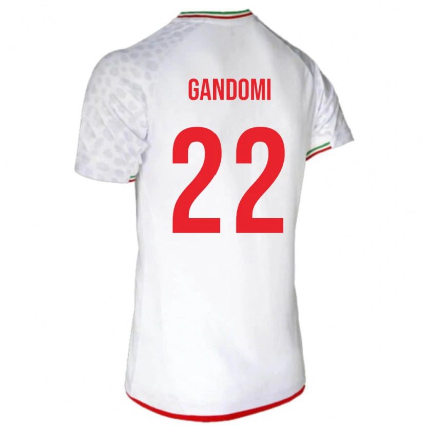 Danxen Heren Iran Mohammad Gandomi #22 Wit Thuisshirt Thuistenue 24-26 T-Shirt