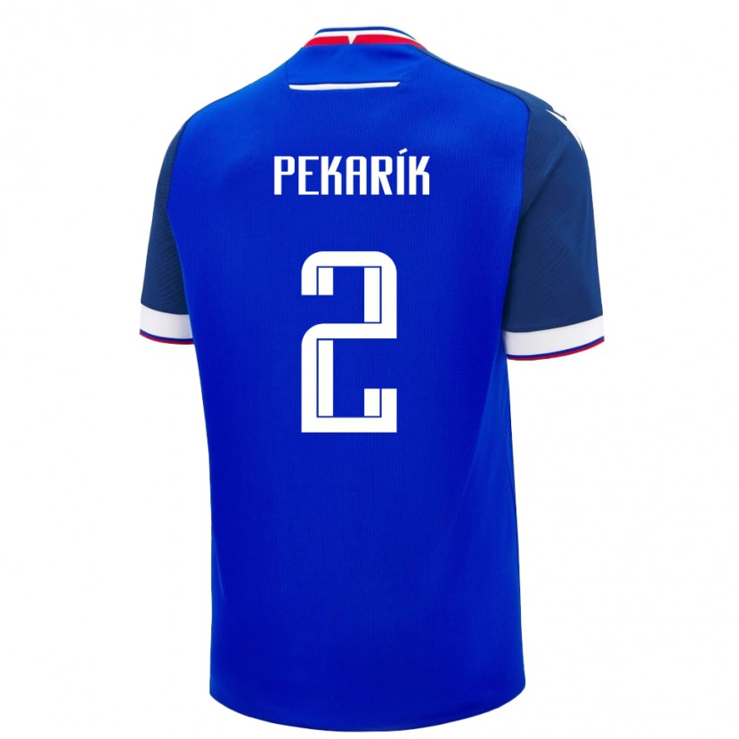 Danxen Heren Slowakije Peter Pekarík #2 Blauw Thuisshirt Thuistenue 24-26 T-Shirt