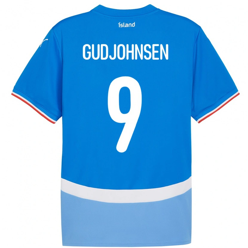 Danxen Heren Ijsland Daníel Gudjohnsen #9 Blauw Thuisshirt Thuistenue 24-26 T-Shirt