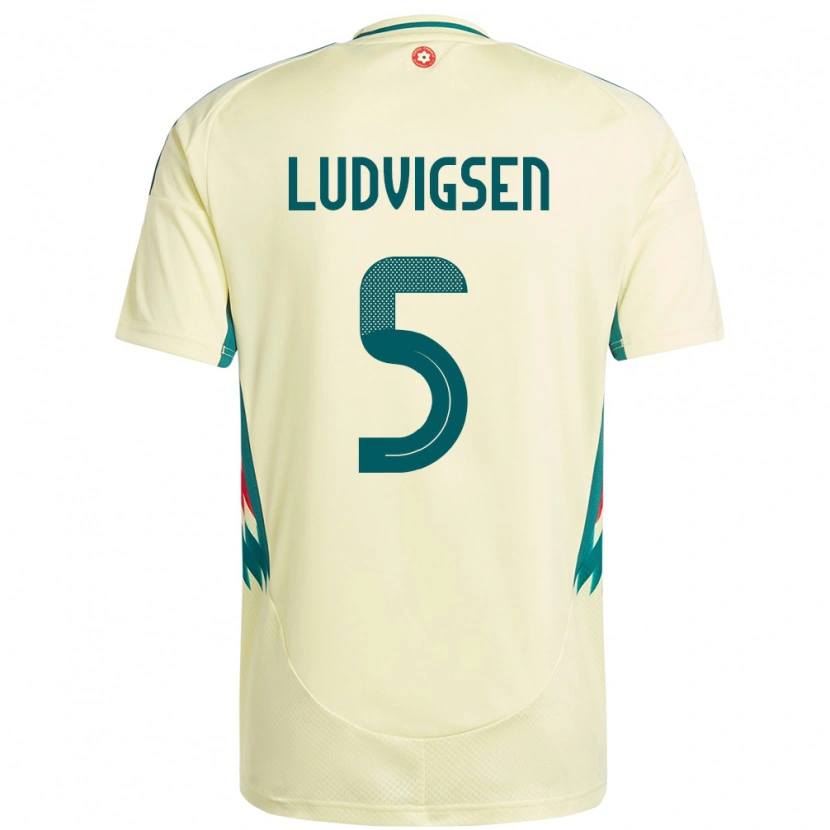 Danxen Heren Wales Kai Ludvigsen #5 Beige Geel Uitshirt Uittenue 24-26 T-Shirt
