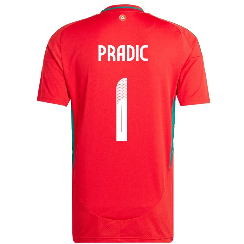 Danxen Dames Wales James Pradic #1 Rood Thuisshirt Thuistenue 24-26 T-Shirt