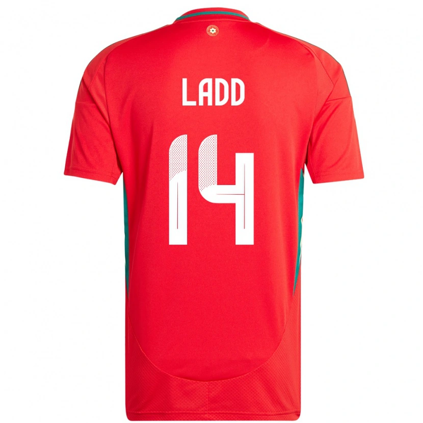 Danxen Dames Wales Hayley Ladd #14 Rood Thuisshirt Thuistenue 24-26 T-Shirt