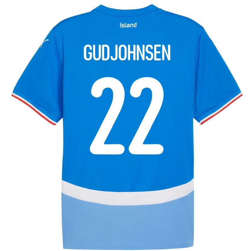 Danxen Dames Ijsland Andri Gudjohnsen #22 Blauw Thuisshirt Thuistenue 24-26 T-Shirt
