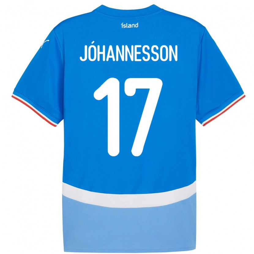 Danxen Dames Ijsland Daniel Jóhannesson #17 Blauw Thuisshirt Thuistenue 24-26 T-Shirt