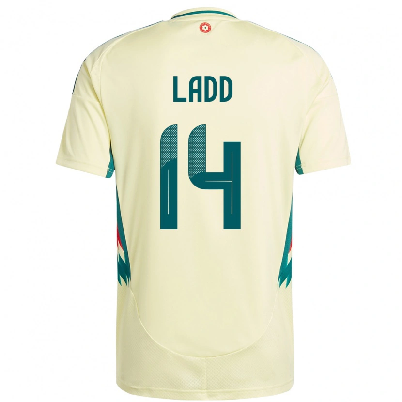 Danxen Dames Wales Hayley Ladd #14 Beige Geel Uitshirt Uittenue 24-26 T-Shirt