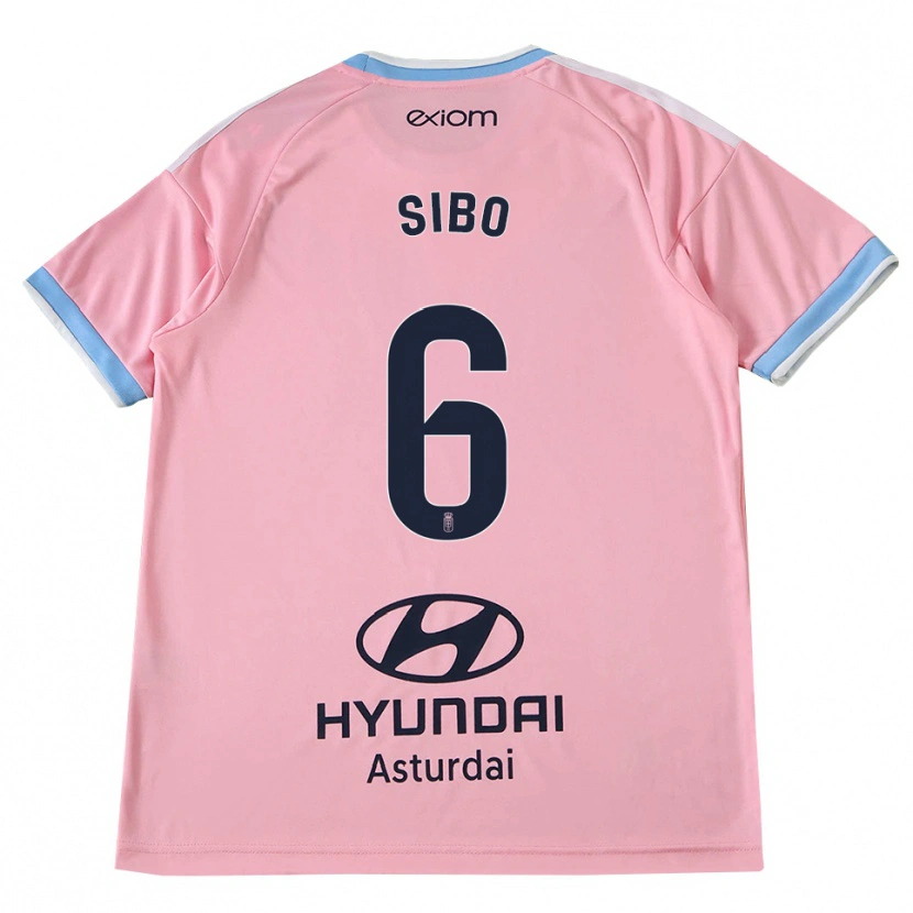 Danxen Dames Kwasi Sibo #6 Centaurieblauw Roze Uitshirt Uittenue 2026/27 T-Shirt