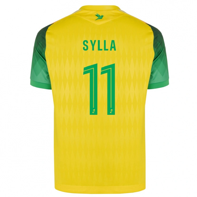 Danxen Kinderen Karamoko Sylla #11 Geel Groen Rood Thuisshirt Thuistenue 2026/27 T-Shirt