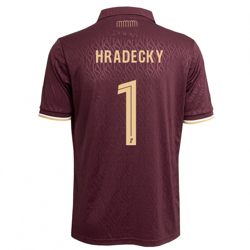 Danxen Kinderen Lukas Hradecky #1 Maroon Zandbruin Uitshirt Uittenue 2026/27 T-Shirt