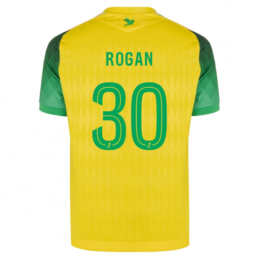 Danxen Heren Manja Rogan #30 Geel Groen Rood Thuisshirt Thuistenue 2026/27 T-Shirt