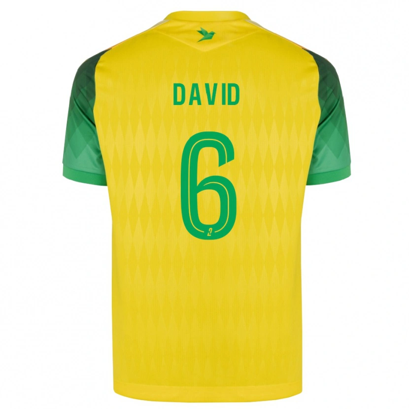 Danxen Dames Timothé David #6 Geel Groen Rood Thuisshirt Thuistenue 2026/27 T-Shirt